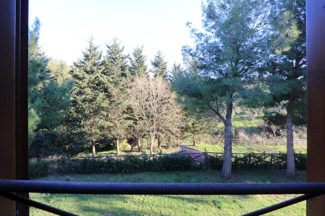 Agriturismo Pimpinnacolo Порто-Эрколе Экстерьер фото